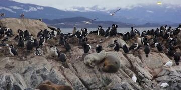 Navegación Canal Beagle
