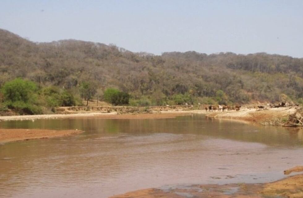 Encontraron el cuerpo de un hombre degollado y comido por perros en la frontera