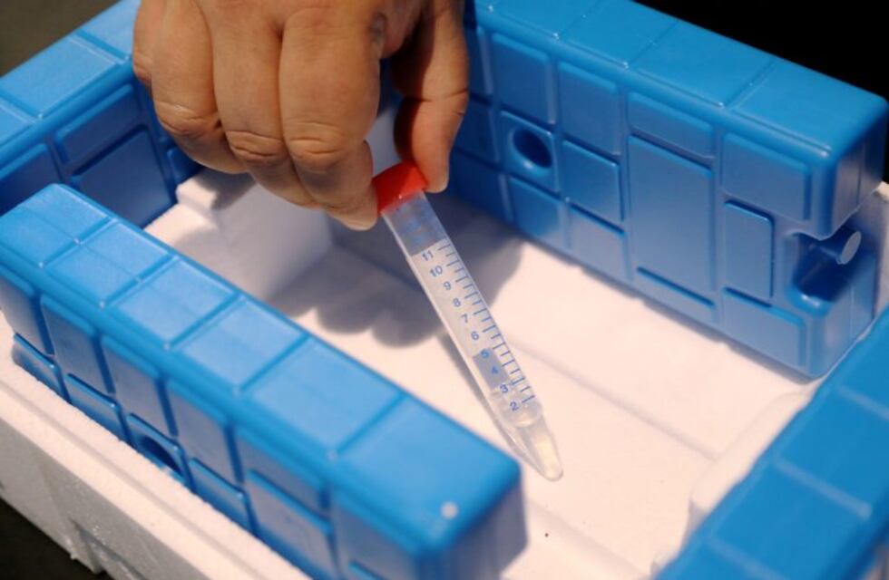 Coronavirus: El Calafate suma 17 nuevos positivos y cuenta con 276 casos activos