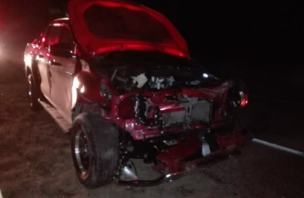 Tremendo accidente: una familia chocó contra una piara de jabalíes