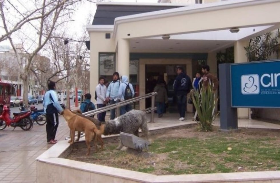 San Juan: el Colegio Médico está en crisis y peligran 600 puestos de trabajo