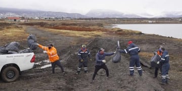 Jornada de limpieza (web)