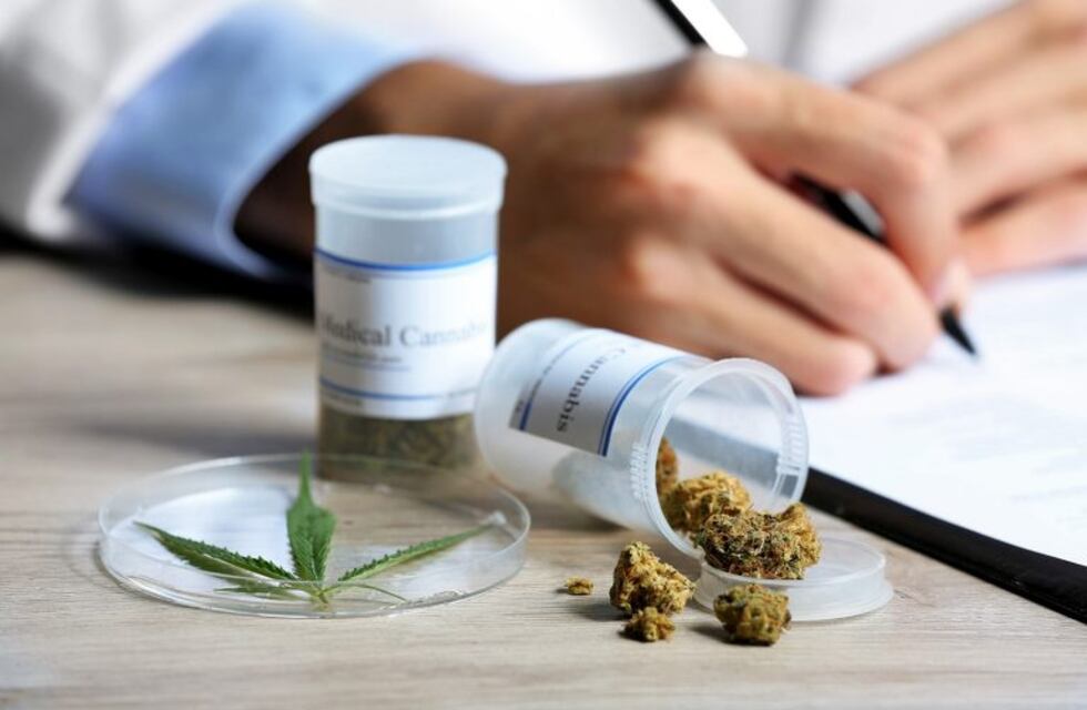 Mendoza, a un paso de ser la quinta provincia en autorizar el cannabis medicinal