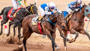 Turf de San Luis suspendida para evitar la propagación de la encefalomielitis equina.