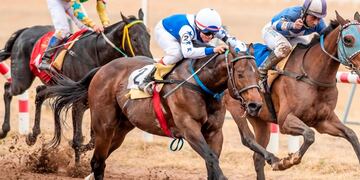 Turf de San Luis suspendida para evitar la propagación de la encefalomielitis equina.