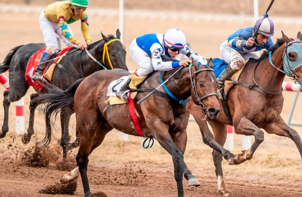 Encefalomielitis equina: suspenden una carrera de caballos en San Luis por precaución