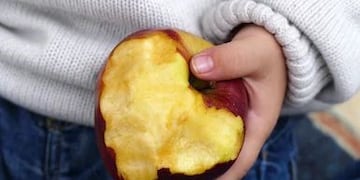 Campaña Solidaria “Nutrir en Red”\u002E \nCrédito: Web