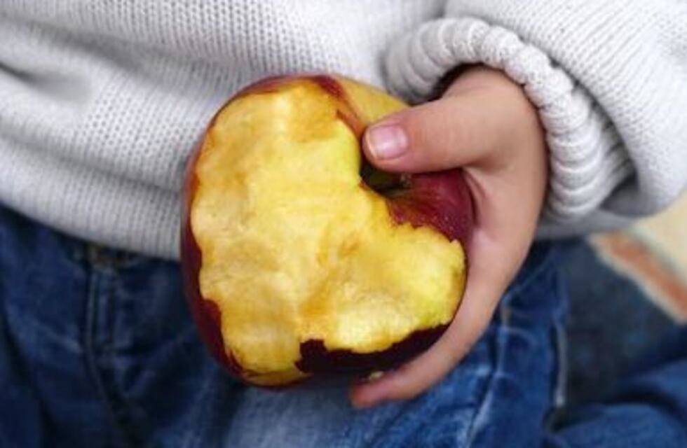 #NutrirEnRed: la campaña que busca mejorar la alimentación de niños carenciados en cuarentena