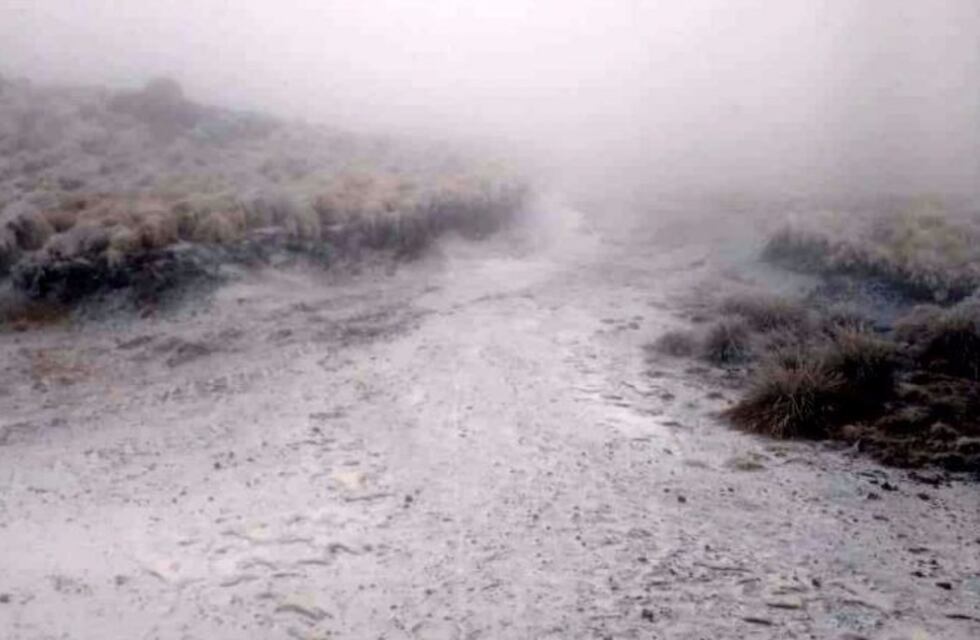 Anunciaron nevadas para La Carolina y Villa de Merlo