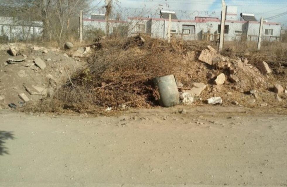 "Es una vergüenza la mugre que hay": vecinos reclaman una limpieza urgente