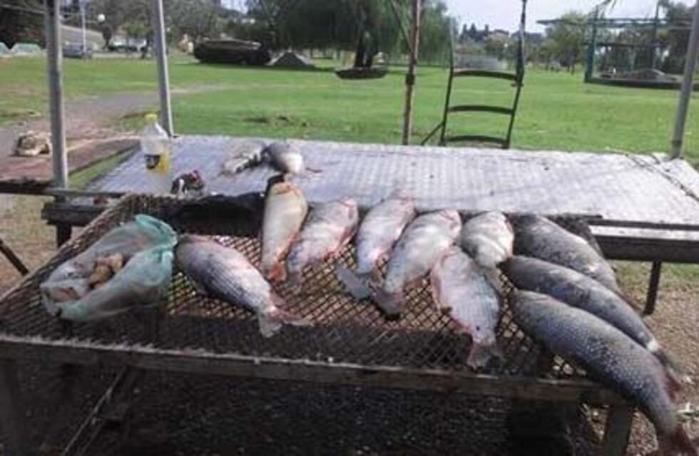 Tensión en la costanera por conflicto entre pescadores e inspectores municipales