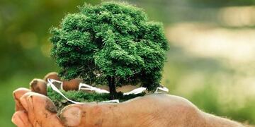 Medioambiente.
