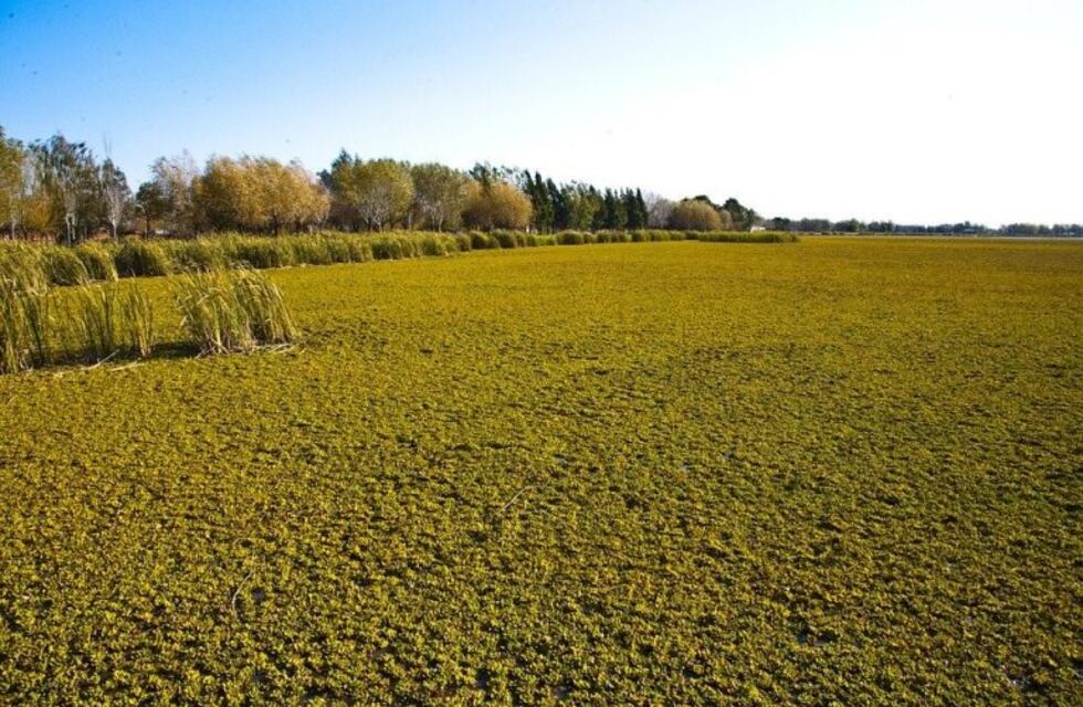 Actos de vandalismo y robo en la zona rural de San Salvador
