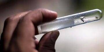 El Ministro de Salud de la Provincia señaló que los principales focos están en Marull y Balnearia, en el noreste cordobés\u002E