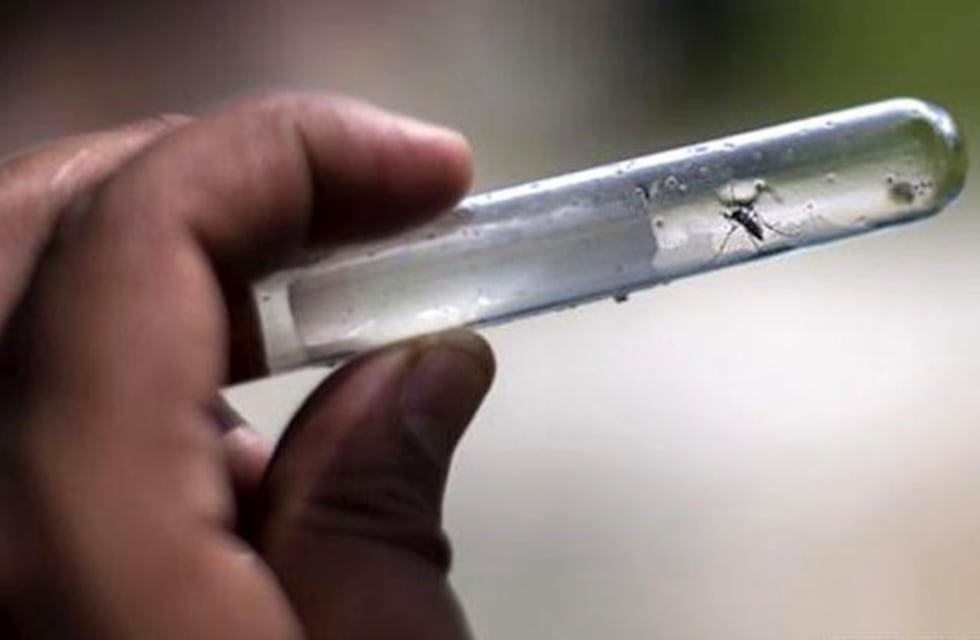 En Córdoba hay 252 casos confirmados de dengue