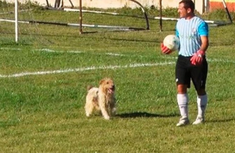 Messi, el perrito de Italó que quiere "jugar de titular" y se mete a la cancha