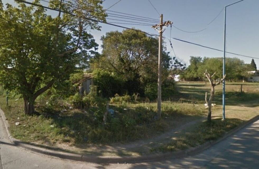 Indignante: hallaron 11 perros envenenados en un descampado de calle Las Heras