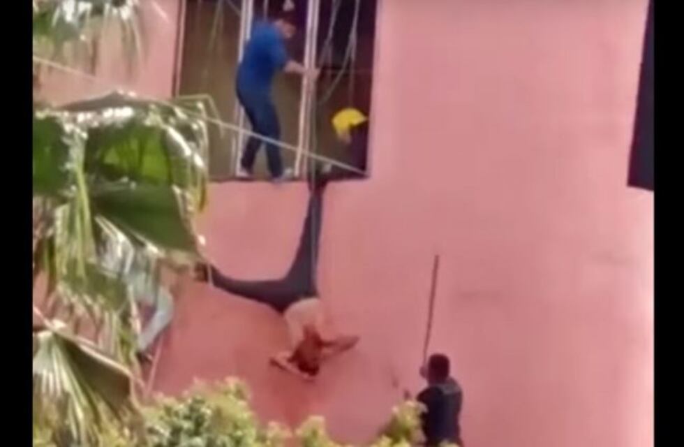Delincuente quedó colgado en pleno escape y un policía le pegó como si fuera una piñata