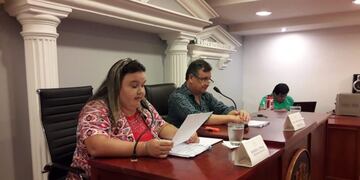 Concejo Deliberante de Puerto Iguazú