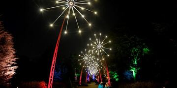 Visitors view light installations as the illuminated trail opens at Kew Gardens in west London, Britain, November 21, 2018\u002E  REUTERS/Toby Melville inglaterra londres  londres show de fuegos artificiales en los Kew Gardens