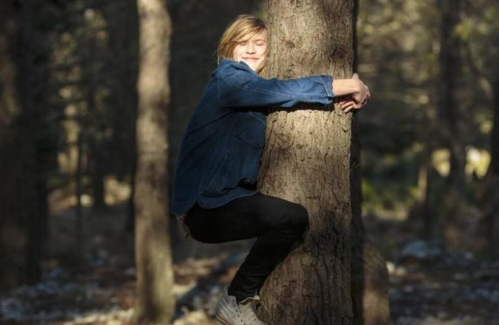 En el Día de la Pachamama: por qué es importante abrazar un árbol