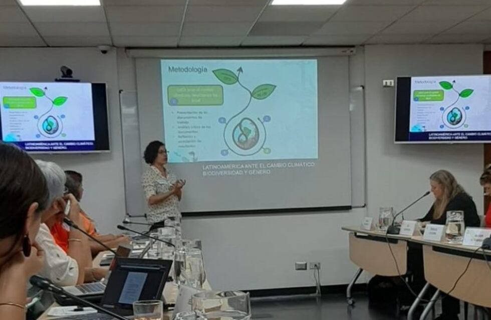 Docentes de la UNTDF participaron del debate Latinoamericano por el Cambio Climático