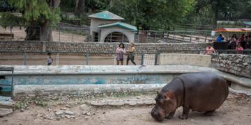 Zoo de Córdoba