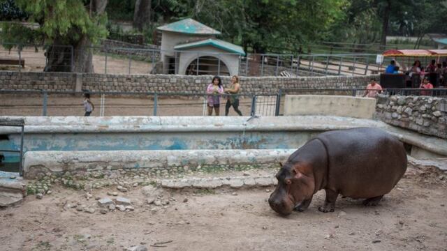 Zoo de Córdoba