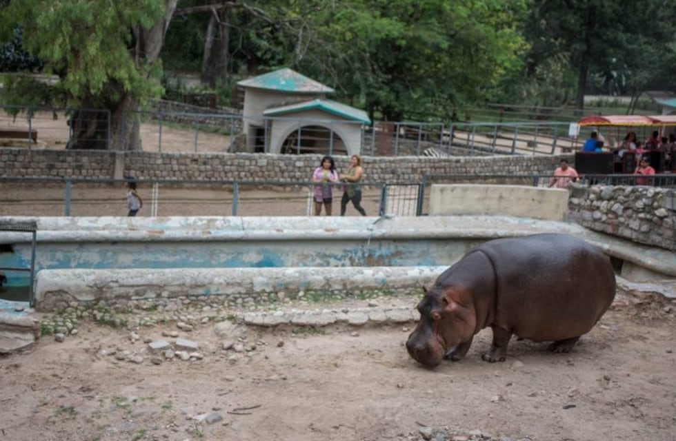 Se está trabajando para convertir el Zoo de Córdoba en Parque Ecológico