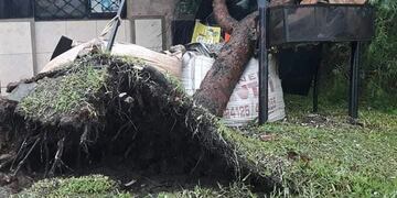 Una de las localidades más afectadas fue Paso de los Libres\u002E