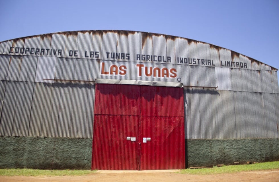 Robo en Cooperativa Las Tunas: se llevaron más de 4.000 paquetes de yerba