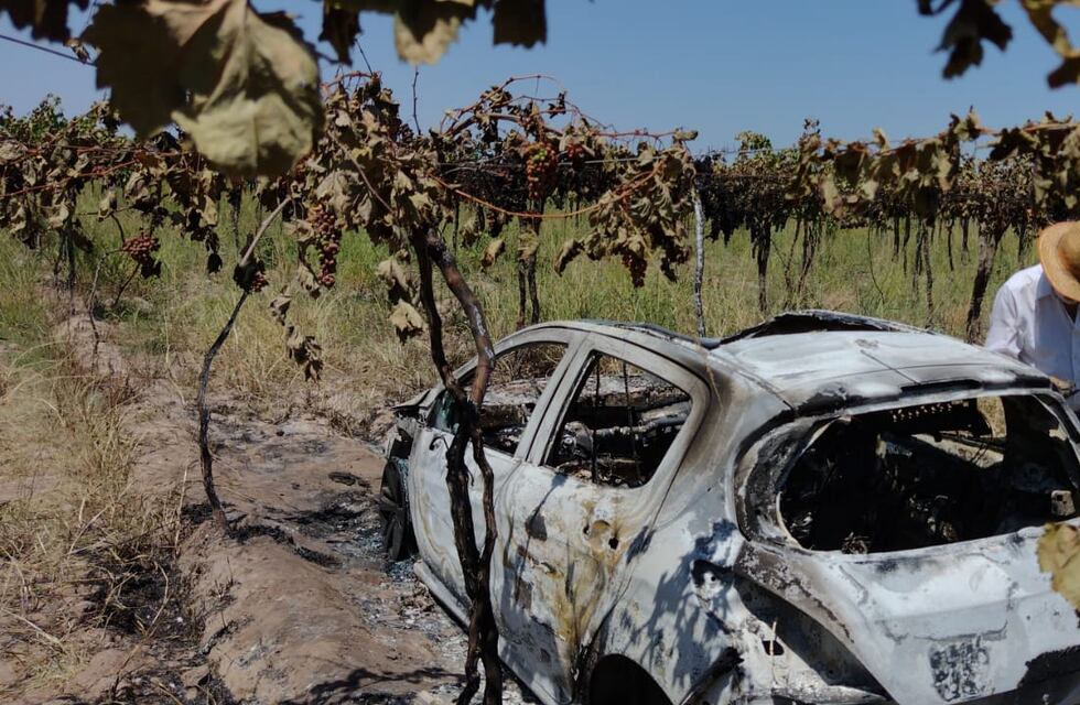 Robaron un auto, lo prendieron fuego en medio de una finca y puso en peligro un viñedo mendocino