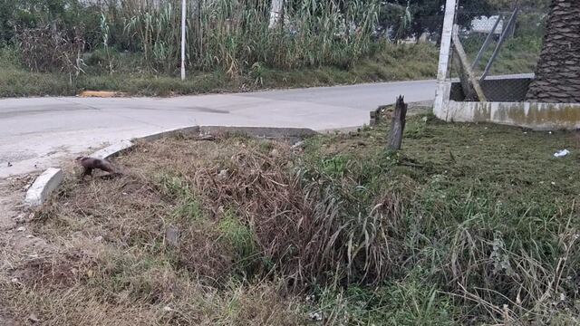 La mujer tenía leves signos vitales y murió rumbo al hospital.