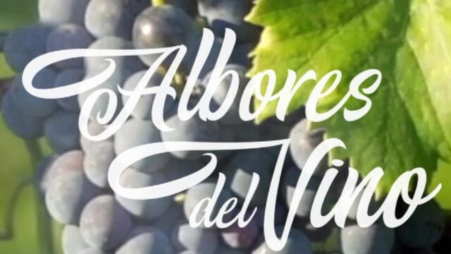6ta. edición de “Albores del Vino”.
