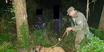 Secuestran marihuana oculta en Puerto Esperanza.