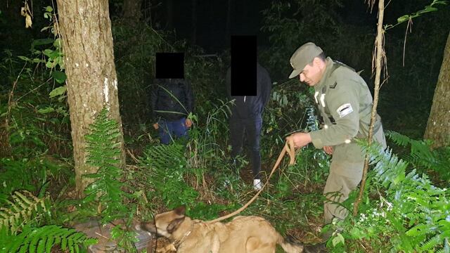 Secuestran marihuana oculta en Puerto Esperanza.