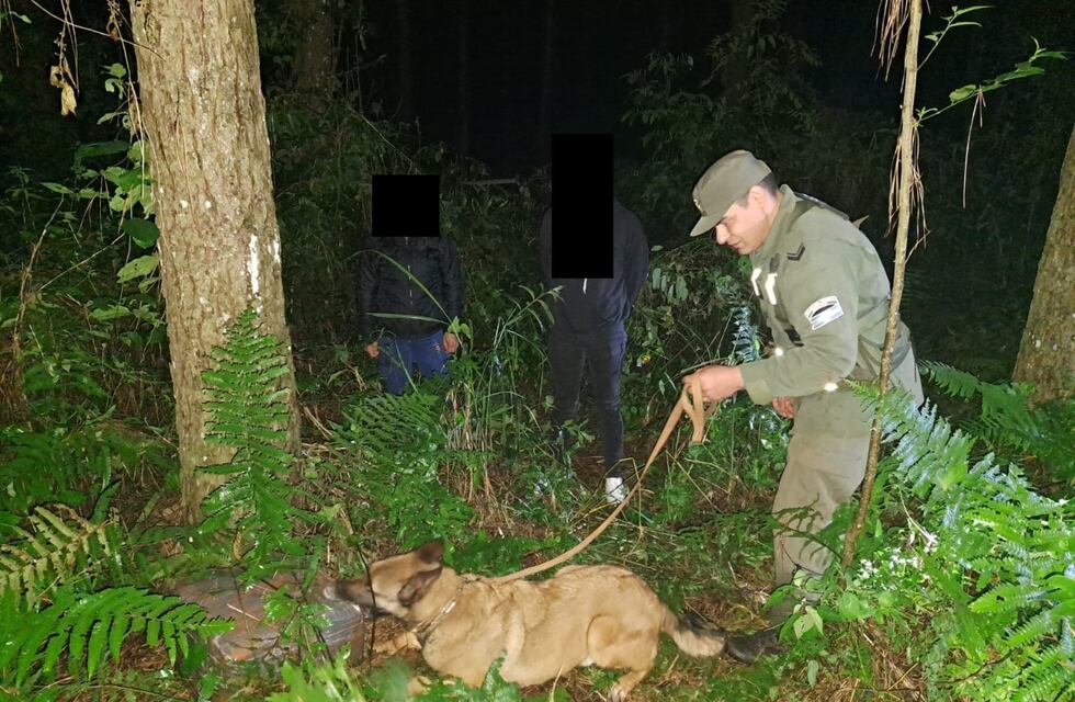 Secuestran marihuana oculta en Puerto Esperanza