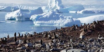 Deshielo en Antártida