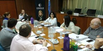 La propuesta de Cambiemos se analizó en la comisión de Gobierno y se debatirá este jueves en sesión\u002E\nPrensa Concejo Municipal de Rafaela