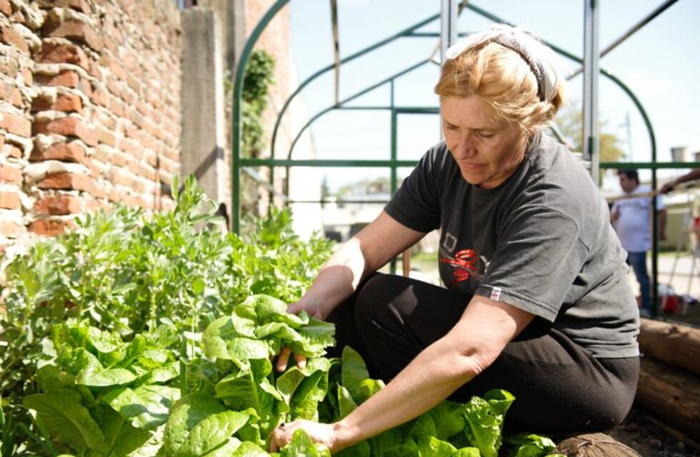 "La huerta a la mesa" brindará una jornada de capacitación