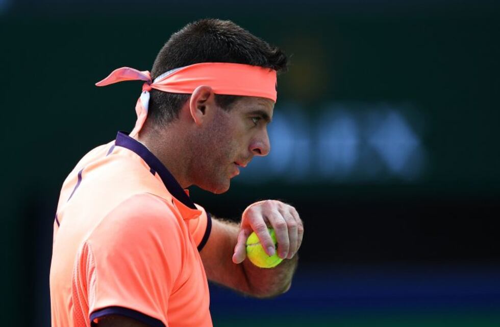 Del Potro venció a Isner en su debut en el ATP de Estocolmo