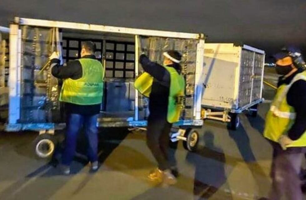 Pasaron 10 meses sin autorizar respiradores que trajo Lionel Messi a Rosario