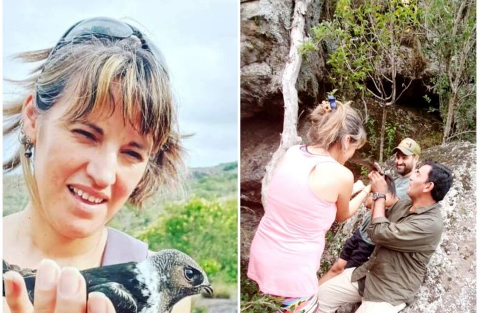 El día en que el pichón de vencejo fue devuelto a su hábitat natural