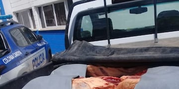 Faena clandestina en Colonia Caroya (Policía)