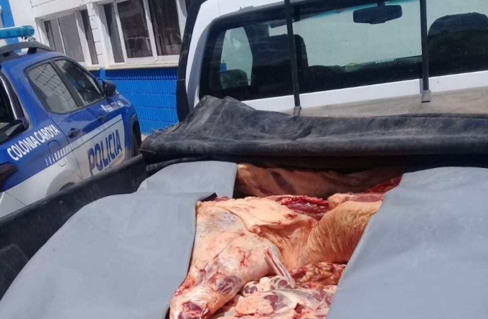 Un detenido por faena clandestina en Colonia Caroya