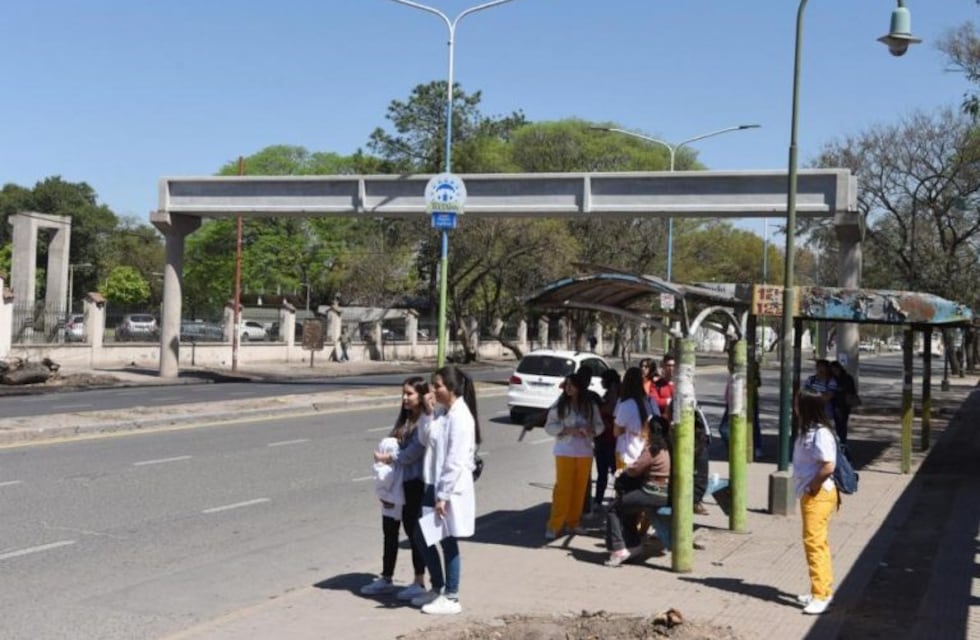Unos 50 mil estudiantes universitarios podrán acceder al boleto gratuito