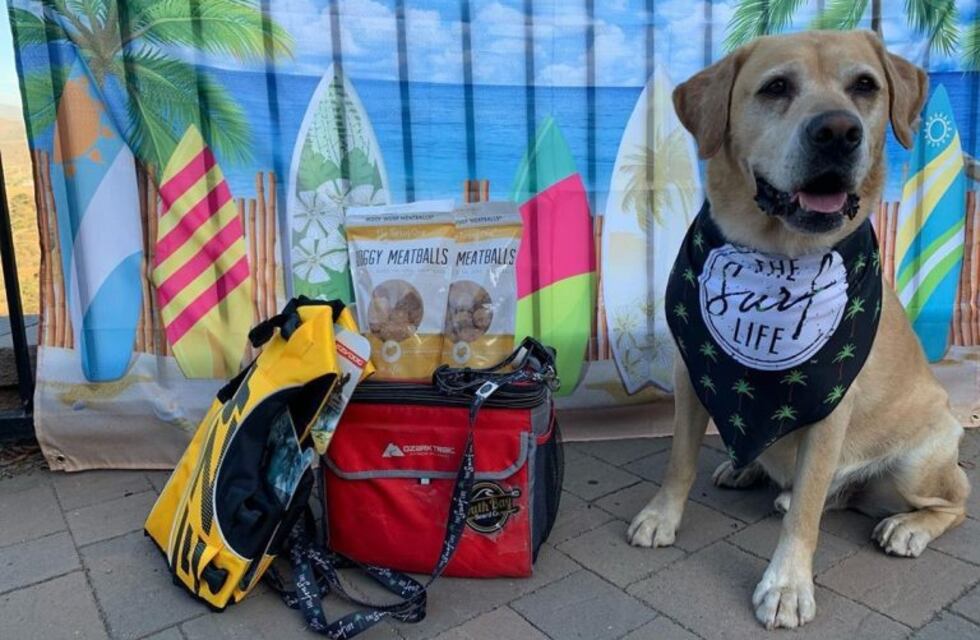 El perro surfista que es furor en las redes por practicar el deporte en las playas de California