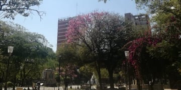 Foto: Mariana Herrera\u002E