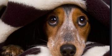 Corazon de Trapo Arroyito