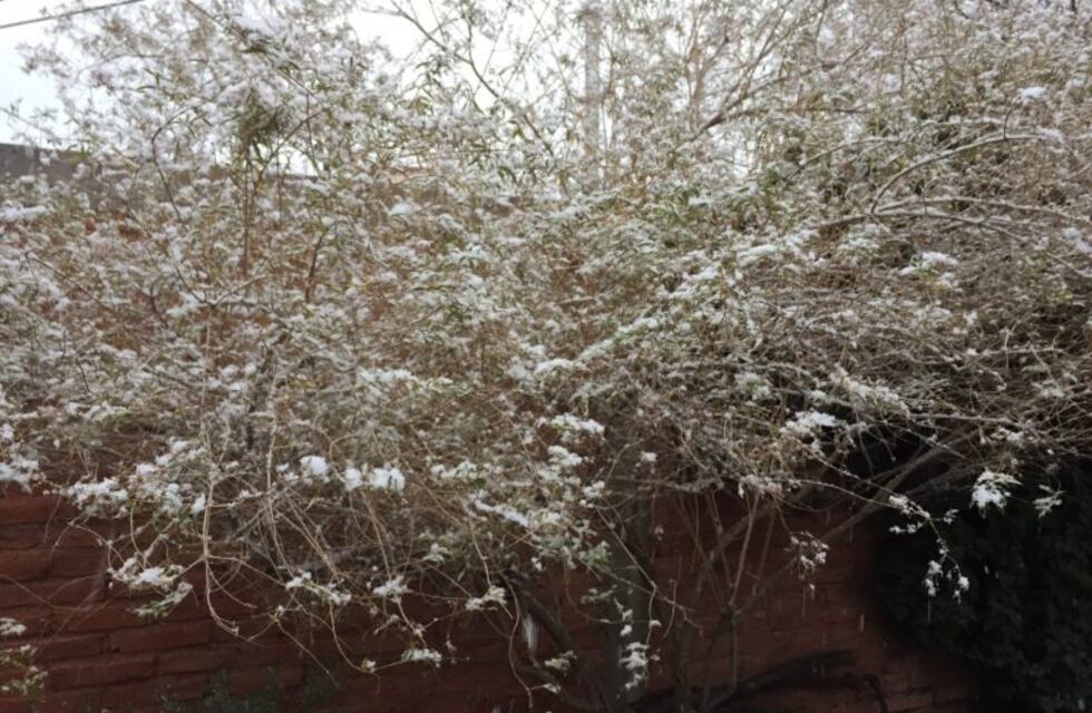 La nieve llegó al Gran Mendoza y los mendocinos compartieron las imágenes en las redes